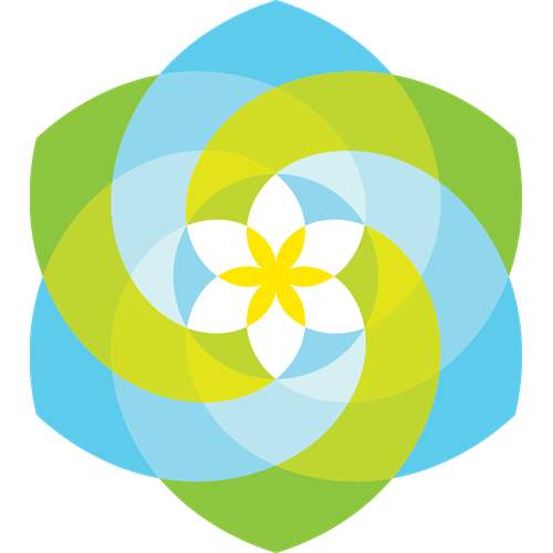 Advanced Solarone Products logo